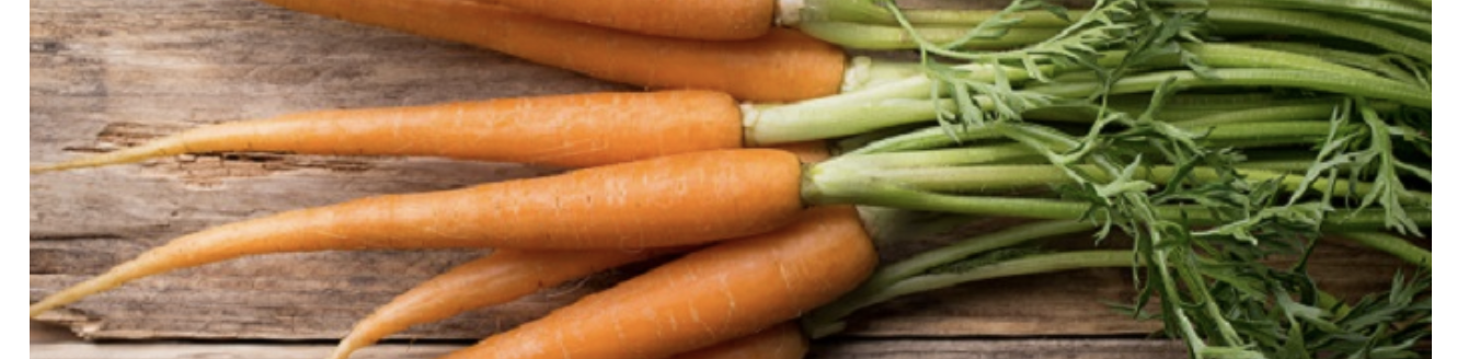 The New Mexico Department of Agriculture is holding three virtual workshops in December in preparation for the Feb. 14 Specialty Crop Block Grant Program proposal deadline. Carrots are considered a specialty crop by the United States Department of Agriculture. (Envato Elements stock photo.)